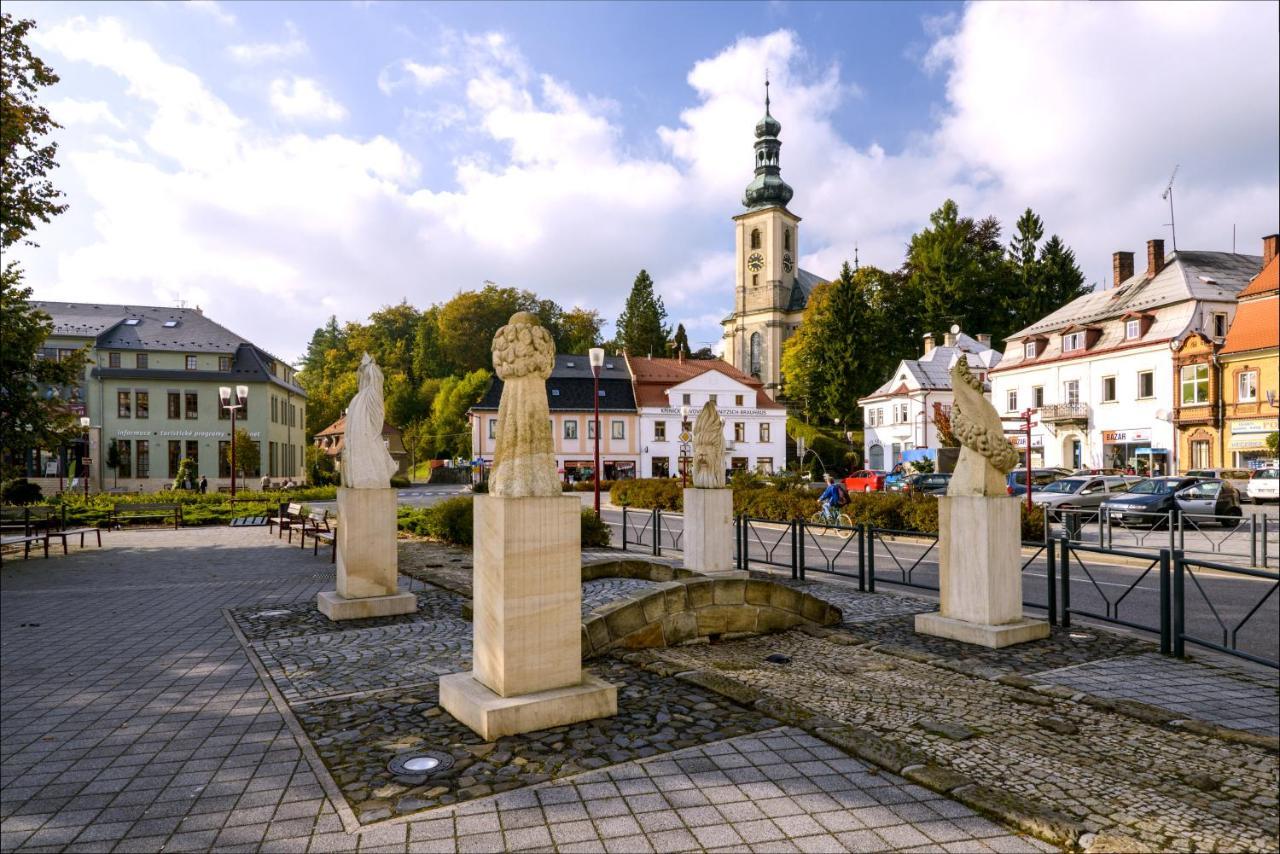 Apartman - Dum Ceskeho Svycarska Krasna Lipa Luaran gambar